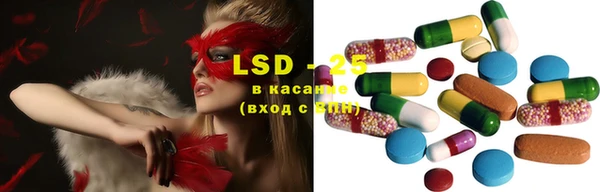 ECSTASY Бородино
