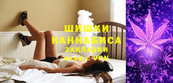 ECSTASY Бородино