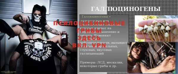 ECSTASY Бородино