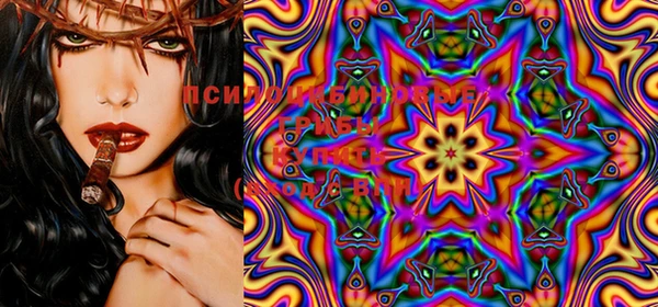 ECSTASY Бородино