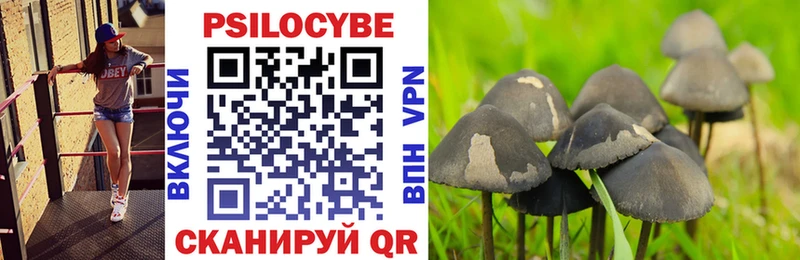 как найти закладки  Вяземский  Галлюциногенные грибы прущие грибы 